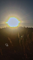 "Приезжайте в гости к нам, в Сергеевский"