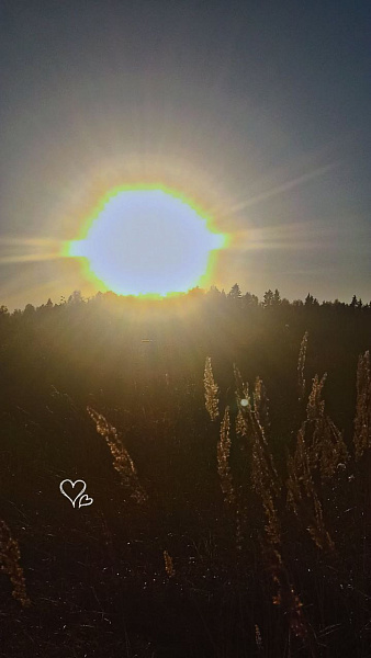 "Приезжайте в гости к нам, в Сергеевский"