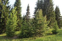 Красоты Пермского края 