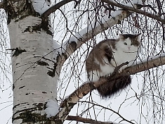 Весной