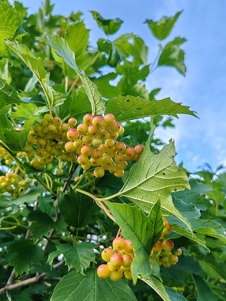 "Красота вокруг"