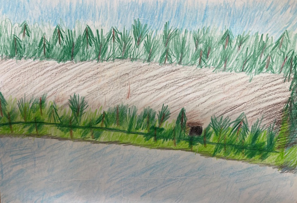 Рисунок "Камень Дыроватый"