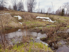 "В моем селе"