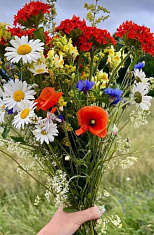 Полевой букет