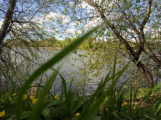 "Чудесные мгновения"