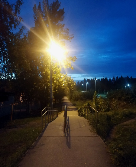 Дорога домой