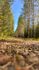 Унылая пора! Очей очарованье!