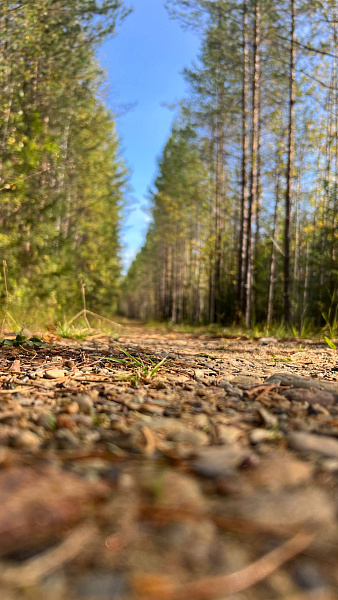 Унылая пора! Очей очарованье!