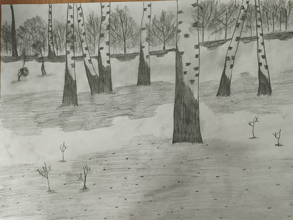 Мой Пермский край, березовый край