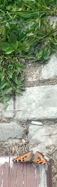 "Место, где хорошо"