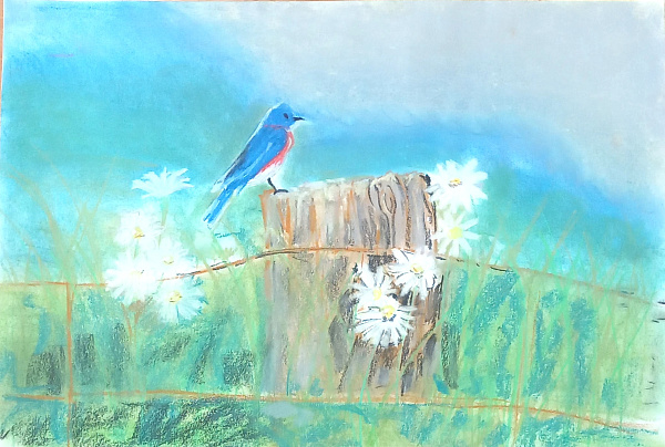 "Утренняя песня"