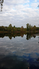 "Облака на пруду"