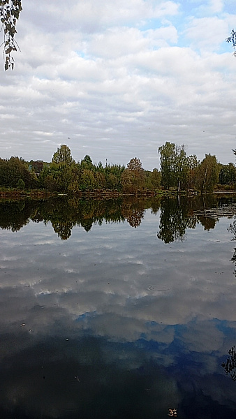 "Облака на пруду"