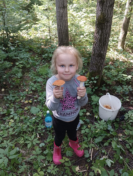 "Грибная пора"