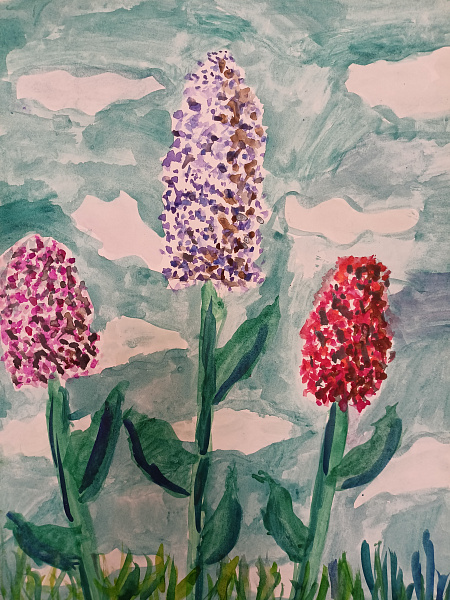 "Полевые цветы"