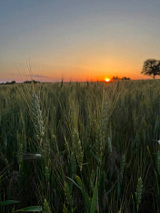 "Просторы нашей Родины"