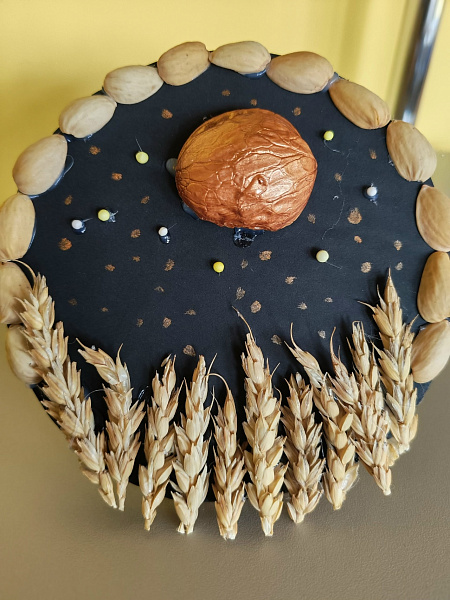 Звёздная ночь в поле Прикамья