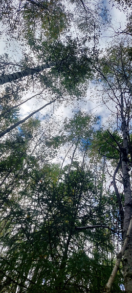 "Ловушка для облаков"