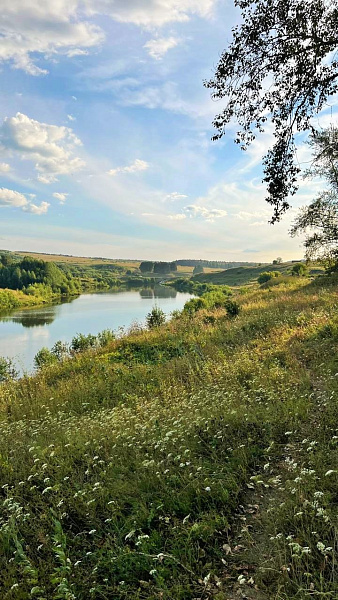 Чистота природы нашего края