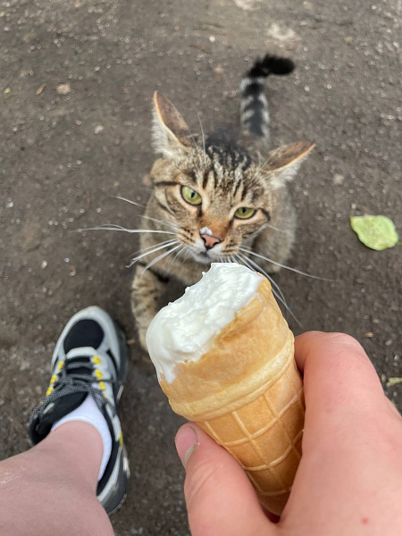 Летние Нытвенские забавы