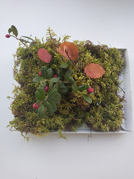 Брусничная горка