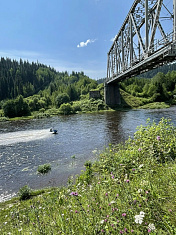 Разнообразие летних красок