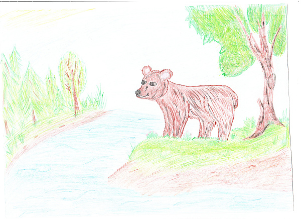 Мишка в лесу