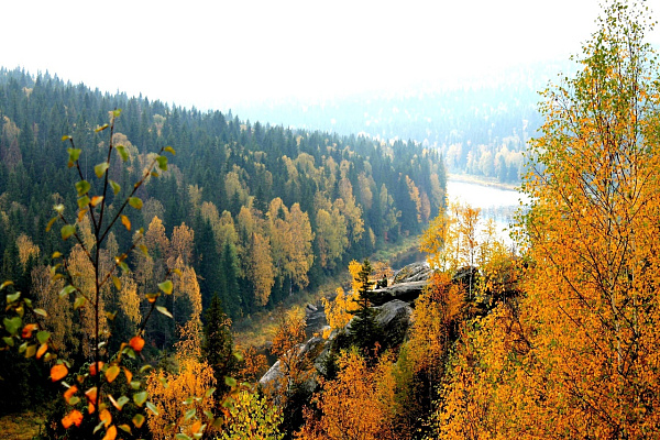 Рассказ "Однажды в лесу.."