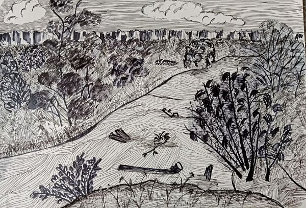 Родные просторы