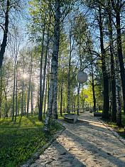 Городской сад