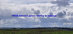 «Мой лесной день: грибы и чудеса»