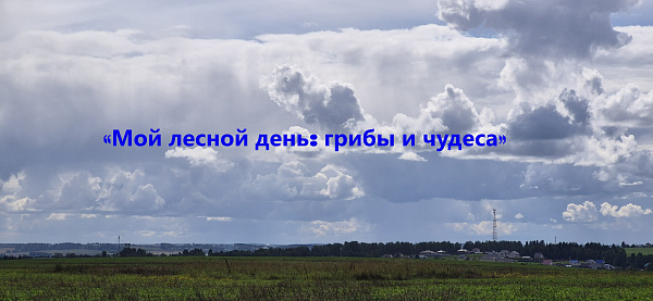 «Мой лесной день: грибы и чудеса»
