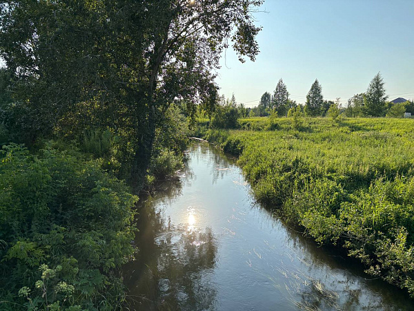 "Такой разный, но любимый город Пермь"