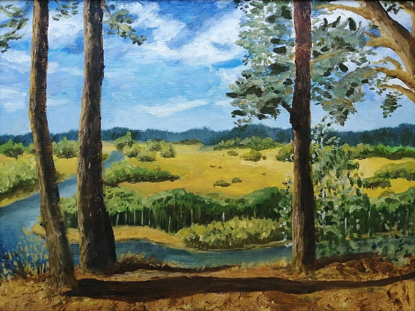 "Родные просторы"