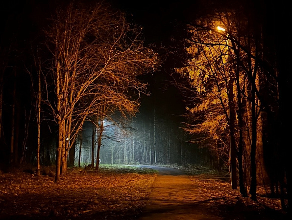 Красота природы края