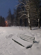 "Зимнее утро в парке"