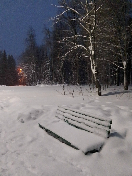 "Зимнее утро в парке"