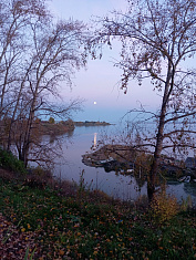 "Вечерняя прогулка"