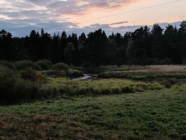 "Осенняя прогулка"