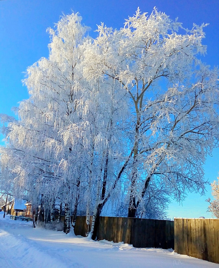 Родная сторонка