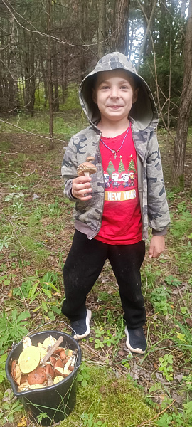 "Грибной рай любимой Ножовки"