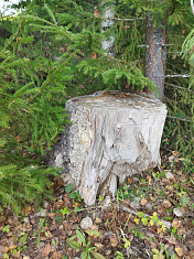 "Природа края"